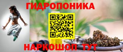 сатива Кимры