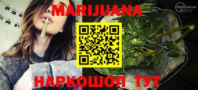 сатива Кимры