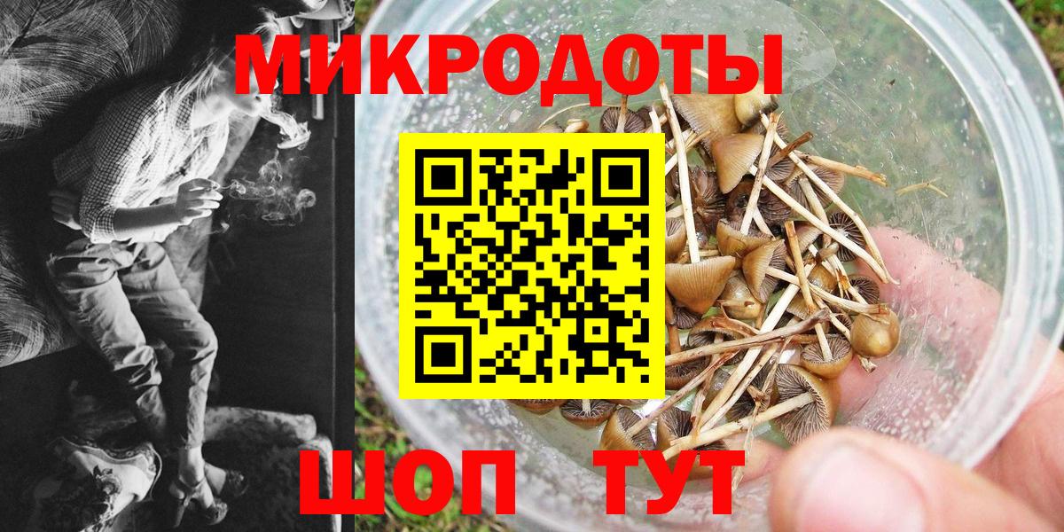Чебоксары  Псилоцибиновые грибы ЛСД  Вход с VPN 